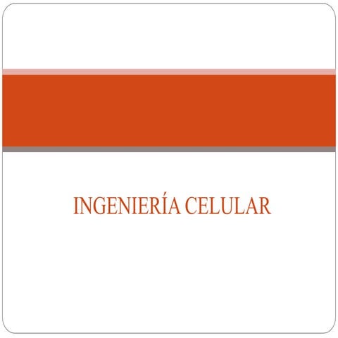 MITOSIS para bachilleratos ingenieria celular