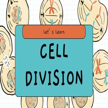 Cell division: Mitosis cell division.pdf