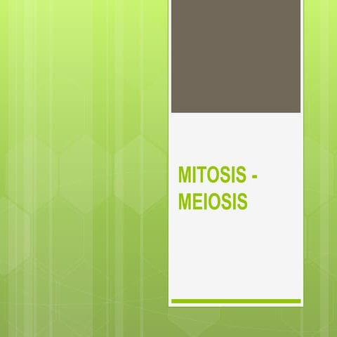 Mitosis- meiosis