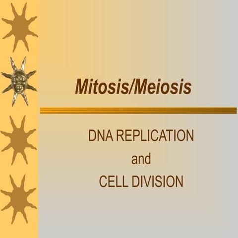 Mitosis and meiosis