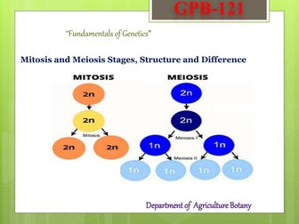 Mitosis and Meiosis Stages, Structure and Difference.pptx