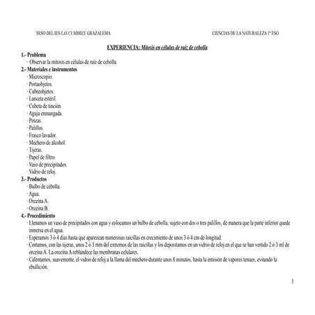 Mitosis en células de raíz de cebolla