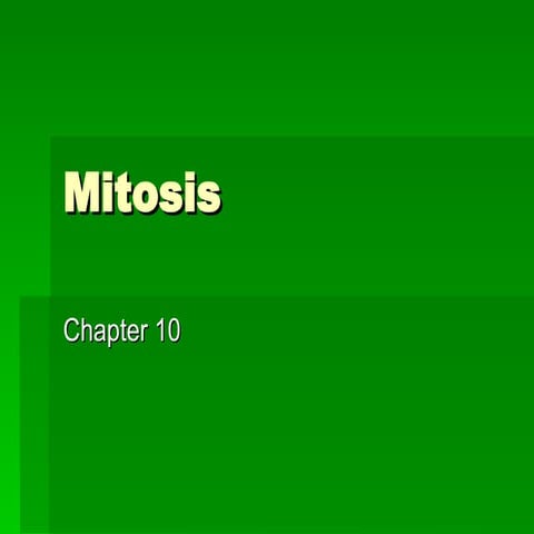 Mitosis Final