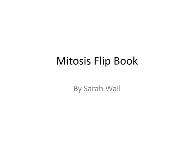 Mitosis Flip Book PPT Mitosis Flip Book PPT