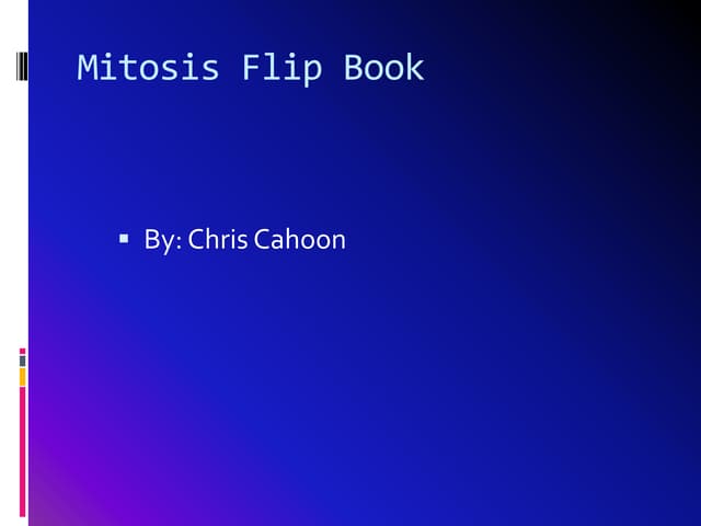 Mitosis Flip Book Template Mitosis Flip Book Template