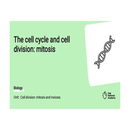 Understanding the Cell Cycle and Mitosis: Stages and Significance in ...