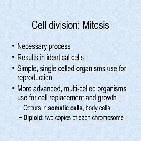 Mitosis Lab