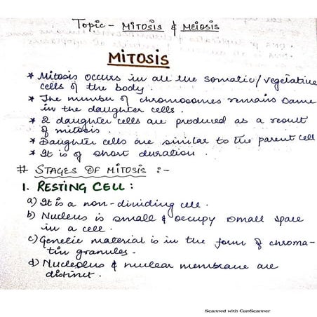 Mitosis meiosis
