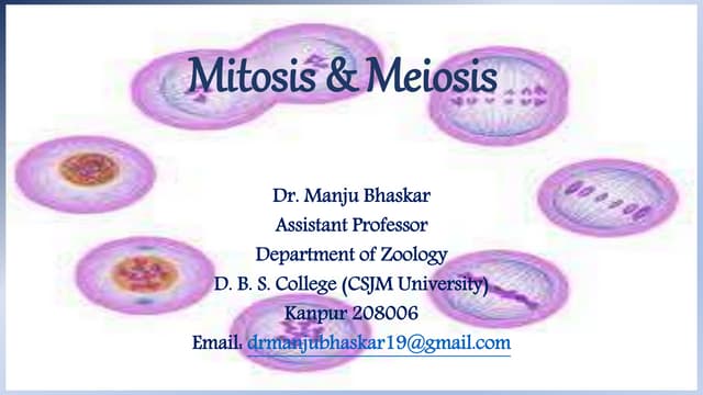 Mitosis & Meiosis