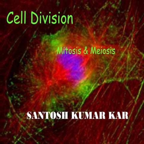 Mitosis meosis