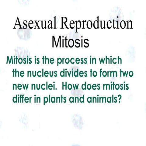 Mitosis plant & animal | PPT