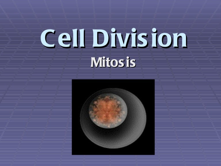 mitosis-powerpoint