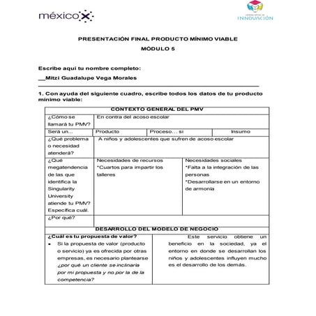 Mitzi vega evidencia 5