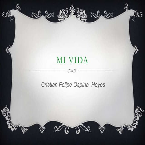Mivida 130430114320-phpapp02