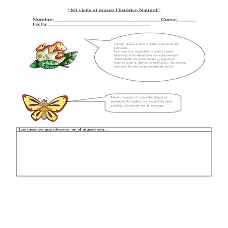 Mi visita al museo histórico natural