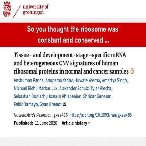 2020: So you thought the ribosome was constant and conserved ... 