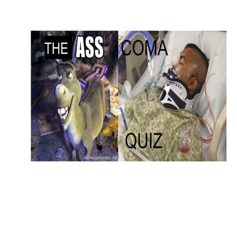 Mixed bag quiz 1-ass-coma