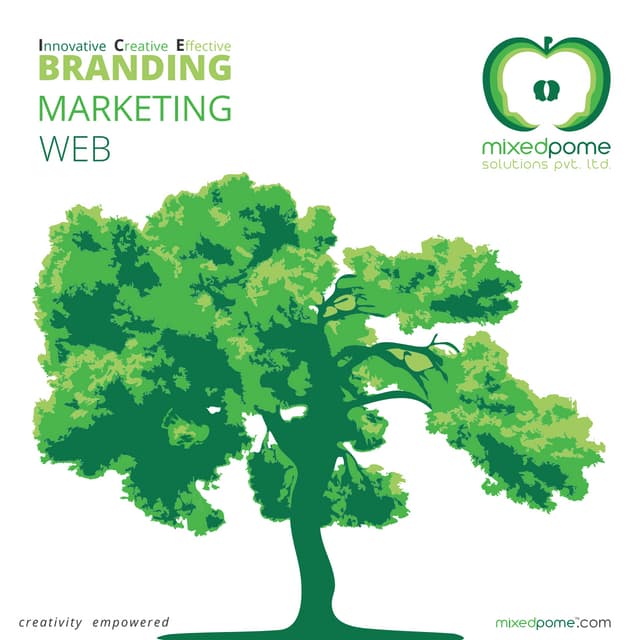 Mixedpome_Web_Branding_Marketing_Company_Profile