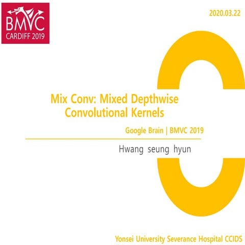 Mix Conv: Mixed Depthwise Convolutional Kernels