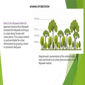 Miyawaki Method Plantation under Meghalaya | PPTX