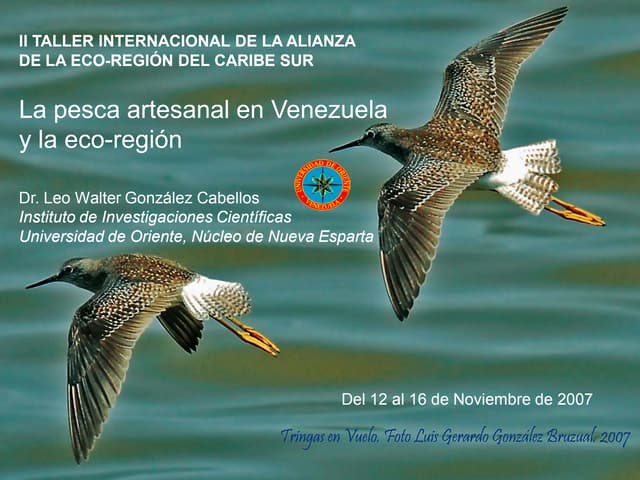 II Taller Alianza Eco-region Caribe...