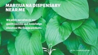 mjbuddyformarijuanadispensarynearme-190226130019-thumbnail-3.jpg