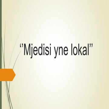 Mjedisi yne-lokal