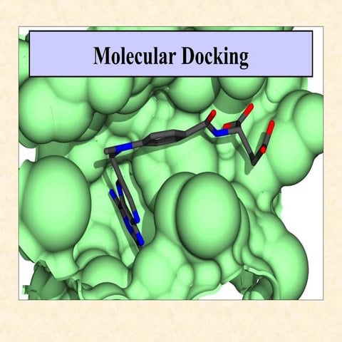 MOLECULAR MODELLING