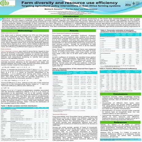 Farm diversity and resource use efficiency: Targeting agricultural policy int...