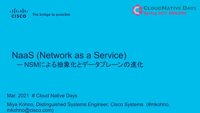 Network as a Service - Data plane evolution and abstraction by NSM