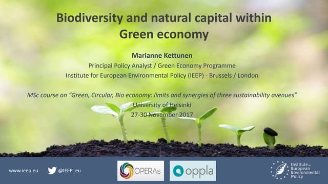 Biodiversity and natural capital within green economy
