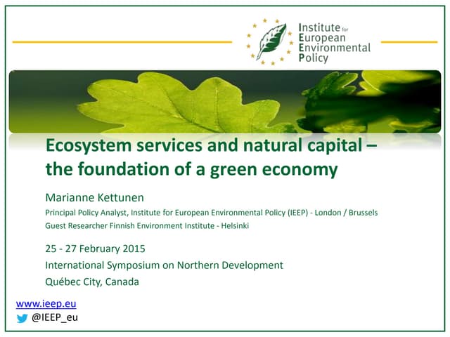 Ecosystem services and natural capital – the foundation of a green economy 