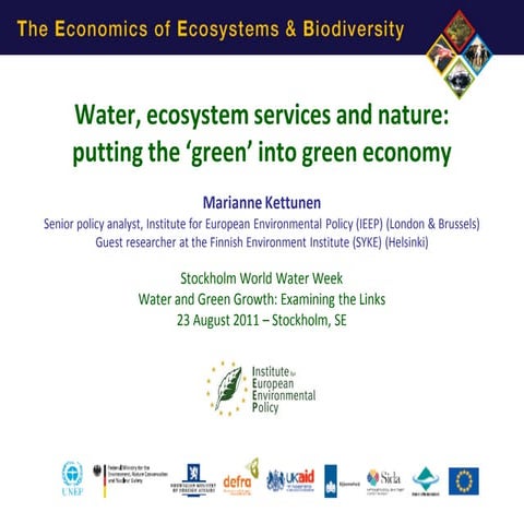 Water and Green Economy_MKettunen