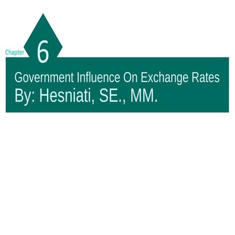 Government Influence on Exchange Rates