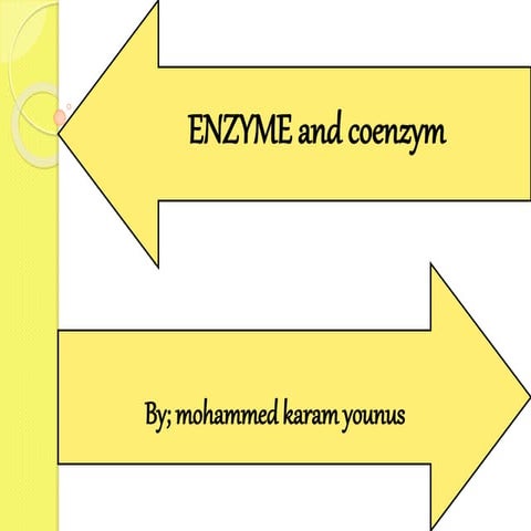 enzyme and coenzym