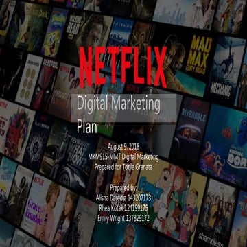 Digital Marketing Plan- Netflix