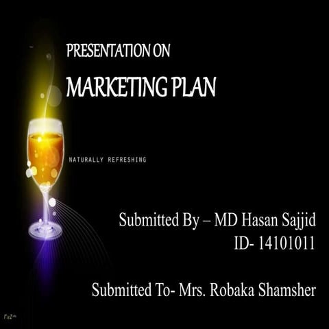Marketing Plan of a new product line for bangladesh