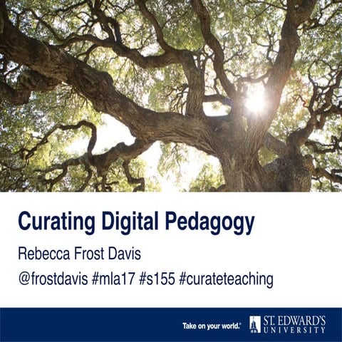 Curating Digital Pedagogy