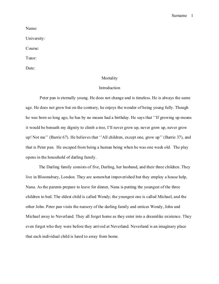 what i want to be when i grow up essay