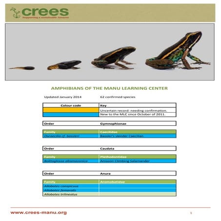 Manu Learning Centre - Amphibian species list 2014 | PDF