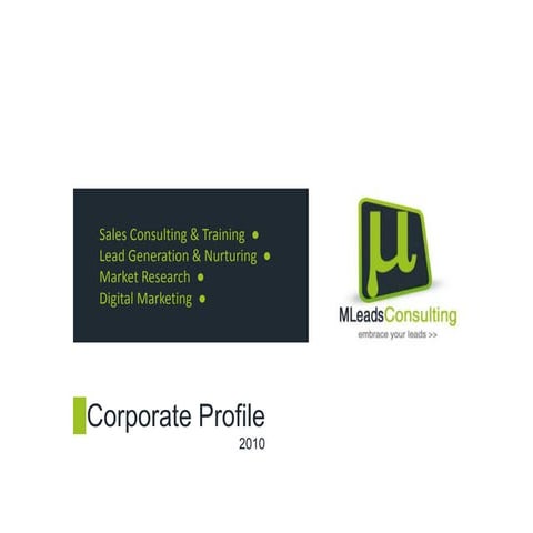 MLeads Consulting Corporate Profile