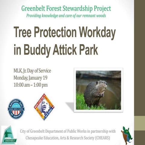 MLK Day of Service Tree Protection Workday at Buddy Attick Park
