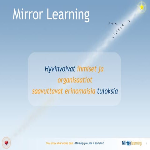Mirror Learning Oy presentation