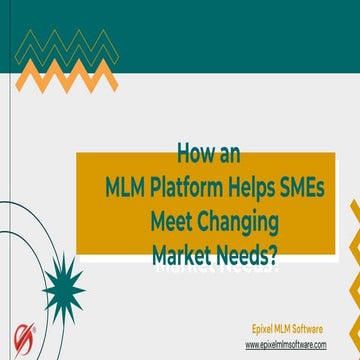  MLM Platform Provides SMEs with Solutions for Growth