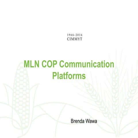 MLN COP communications platforms