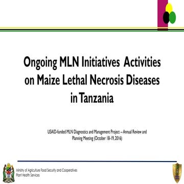 Ongoing MLN initiatives: Activies on Maize Lethal Necrosis Diseases in Tanzania 