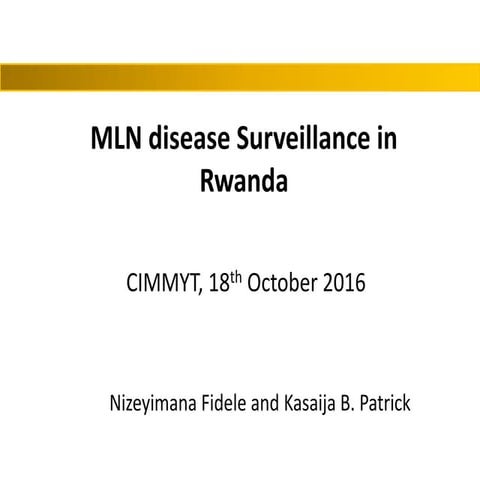 MLN disease surveillance in Rwanda 