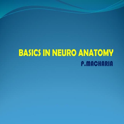 MLS HEAD AND NECK.pptxedited by pantic miazga oguda