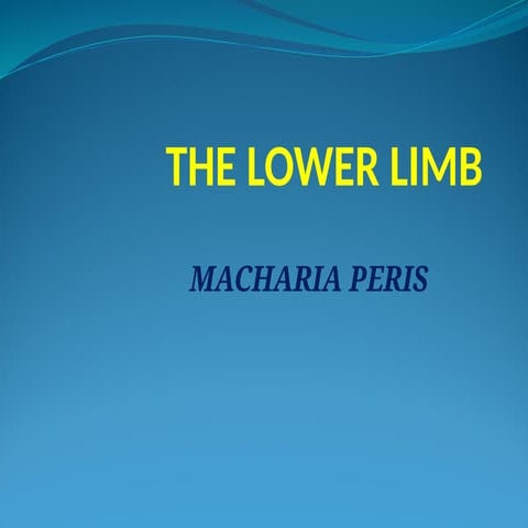 MLS LOWER LIMB.pptxedited by pantic miazga oguda