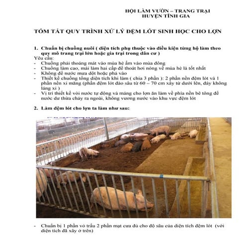 Dem lot sinh hoc cho lon